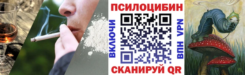 Псилоцибиновые грибы Cubensis  Улан-Удэ 