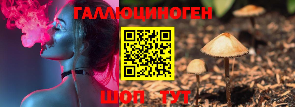 Псилоцибиновые грибы мухоморы  Вход с VPN  Улан-Удэ 